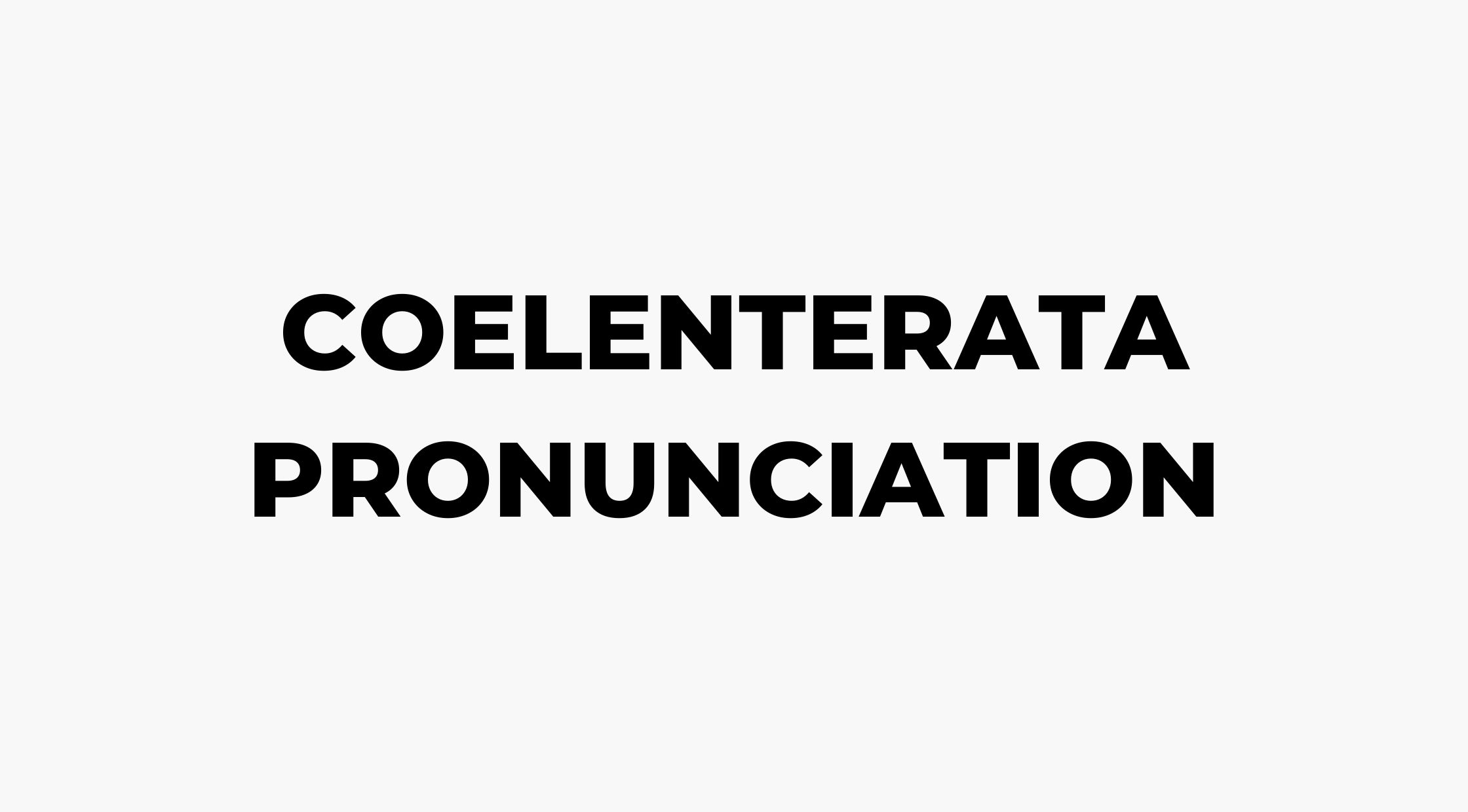 Coelenterata in Tamil